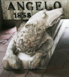 Cimitero di Cotignola (Foto P.Gagliardi)
